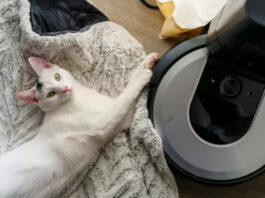 Производитель роботов-пылесосов Roomba предупредил о возможном банкротстве в ближайшие 12 месяцев