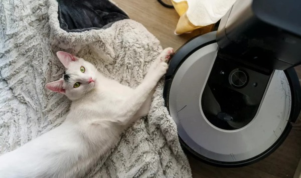 Производитель роботов-пылесосов Roomba предупредил о возможном банкротстве в ближайшие 12 месяцев