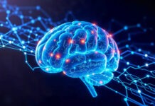 В Санкт-Петербурге научатся создавать нейроморфные компьютеры