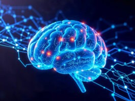 В Санкт-Петербурге научатся создавать нейроморфные компьютеры