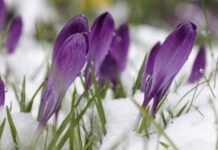 Дождь, мокрый снег. Синоптики предупредили, где погода напомнит о зиме до конца недели и где температура позволит ходить в футболке