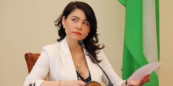 Елена Дума, глава АРМА (Фото: Олена Дума / Facebook)