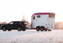 Lutz предлагает всем желающим опробовать нанодомик на колесах