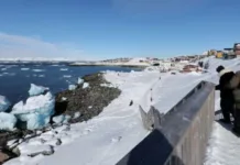 Дания не просила Путина «защитить Гренландию» от Трампа, это фейк спецслужб РФ