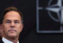 «Это независимая территория». Рютте сделал заявление о том, кто должен контролировать Гренландию