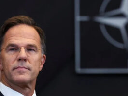 «Это независимая территория». Рютте сделал заявление о том, кто должен контролировать Гренландию