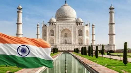 Пострадал национальный производитель. Украина ввела значительную пошлину на импорт из Индии одного из товаров