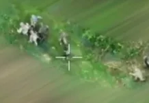 «Вышли из Курской области? Не слышали». Бойцы ССО ликвидировали группу российских военных и взяли пленных