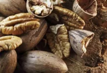 Этот орех помогает снизить холестерин и укрепить здоровье сердца