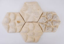 «Слоновья кожа» из грибной массы эффективно охлаждает здания без затрат электричества