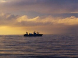 Это уже не впервые. Канада заплатила за право Украины ловить рыбу в Северной Атлантике