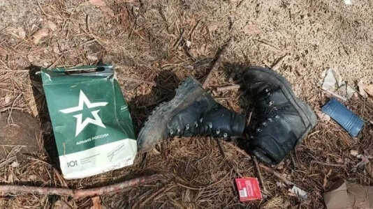 В ОСГВ Хортица подсчитали, какие потери несет Россия за каждый квадратный километр украинской земли