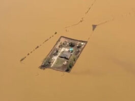 Смекалка фермеров из Теннеси спасла их ферму от гигантского потопа