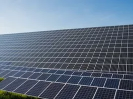 В три раза мощнее и гораздо эффективнее. Китай представил новую технологию солнечных батарей