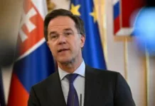 Рютте во время визита в США будет призывать команду Трампа не навязывать Украине мир на условиях Кремля — FT