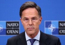 Рютте заявил, что НАТО не выдвигает собственных красных линий в переговорах о мире в Украине