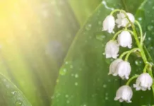 Дождь в двух областях. Синоптик сообщила, где будут осадки в Украине во вторник и где вероятны заморозки