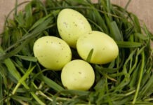 Натуральный способ без химии. Добавьте это в воду — и пасхальные яйца станут идеально оливковыми: лайфхак к Пасхе