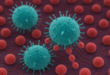 Иммунные клетки человека можно превратить в фабрики по производству опиодов