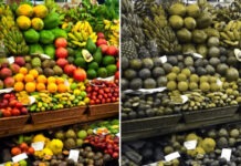 Инструмент Ubisoft Chroma помогает адаптировать игры для геймеров-дальтоников