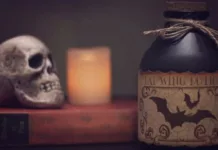 Ученые Оксфорда десятилетиями пили вино из чаши, сделанной из человеческого черепа — вероятно, он принадлежал рабыне