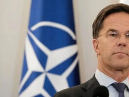 «Мяч явно на стороне россиян». Россия действительно должна сделать больше, чтобы остановить эту войну — Рютте