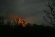 ВСУ имели успех вблизи Удачного в Донецкой области, оккупанты продвинулись возле двух населенных пунктов — DeepState