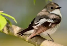 Похолодание до заморозков. Синоптики сообщили, где температура воздуха в Украине поднимется до +28 и когда погода резко испортится