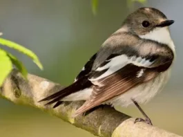 Похолодание до заморозков. Синоптики сообщили, где температура воздуха в Украине поднимется до +28 и когда погода резко испортится