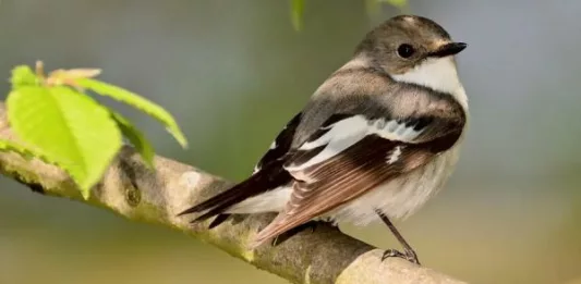 Похолодание до заморозков. Синоптики сообщили, где температура воздуха в Украине поднимется до +28 и когда погода резко испортится