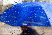 Дождь по всей Украине. Синоптик сообщила о температуре от +19 до +7, где будет штормовой ветер и сколько продлится похолодание