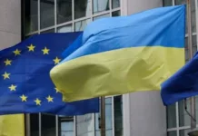 Если Украина подпишет предложение Трампа, война в Европе будет неизбежной — Перепелица