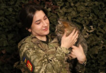 Повестки, ВВК, мобилизация: что изменится для военнообязанных с апреля 2025 года