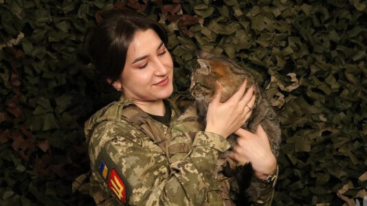 Повестки, ВВК, мобилизация: что изменится для военнообязанных с апреля 2025 года