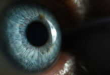 Ученые открыли новый цвет, который прежде никто не видел