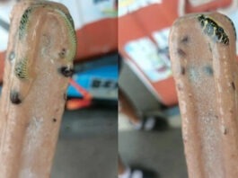 В Таиланде мужчина нашел в своем мороженом ядовитую змею