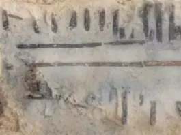 Выдающаяся находка. В Испании обнаружили средневековый корабль