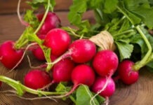 Не только салаты. Пять преимуществ редиса для здоровья и оригинальные идеи для приготовления корнеплода