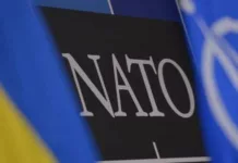 В НАТО смягчили формулировки по климату, гендеру и инклюзивности, чтобы «угодить» Трампу — Politico