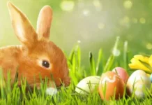 Потепление к Пасхе. Где в Украине температура будет достигать +25, пройдут грозовые дожди и какая погода ожидается в течение недели