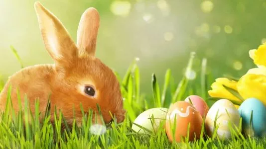 Потепление к Пасхе. Где в Украине температура будет достигать +25, пройдут грозовые дожди и какая погода ожидается в течение недели