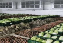 Портятся продукты. Кабмин распространил льготное кредитование и на создание овощехранилищ