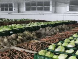 Портятся продукты. Кабмин распространил льготное кредитование и на создание овощехранилищ
