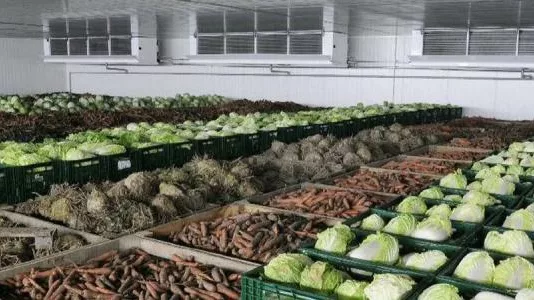 Портятся продукты. Кабмин распространил льготное кредитование и на создание овощехранилищ