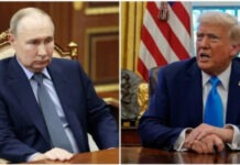 В ближайшее время может состояться новый разговор Путина с Трампом — Politico