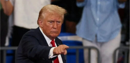 «Не катастрофа, но есть нюанс». Депутат рассказал, как пошлины Трампа ударят по Украине