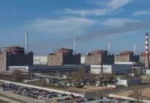 «Не будет работать без Украины». Зеленский оценил идею Трампа о передаче ЗАЭС под американский контроль