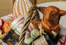 Паска с тархуном или шпондер с хреном? Где во Львове заказать «начинку» к пасхальной корзине