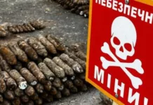 Парламент Латвии проголосовал за выход страны из Конвенции о запрете противопехотных мин