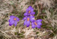 Кратковременное потепление. Где завтра в Украине дождь и кому повезет насладиться солнечной погодой перед значительным похолоданием